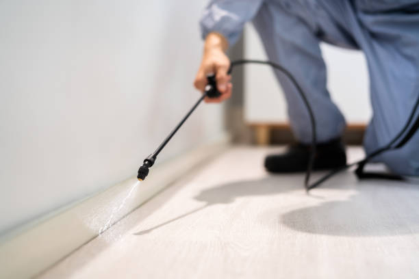 Certified termite inspector examining foundation in Bessemer