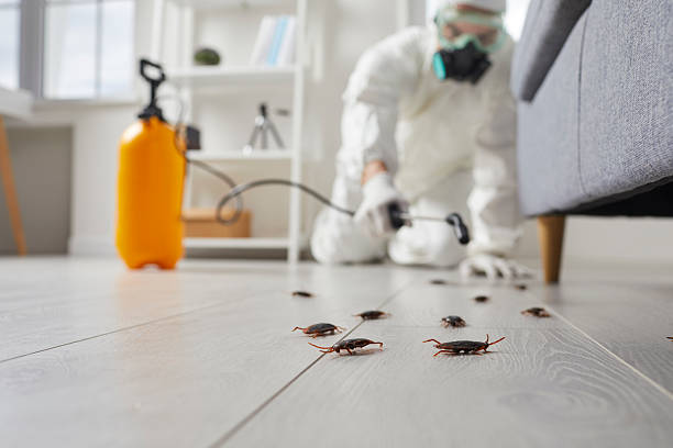 Commercial Kitchen Cockroach Control in Bessemer